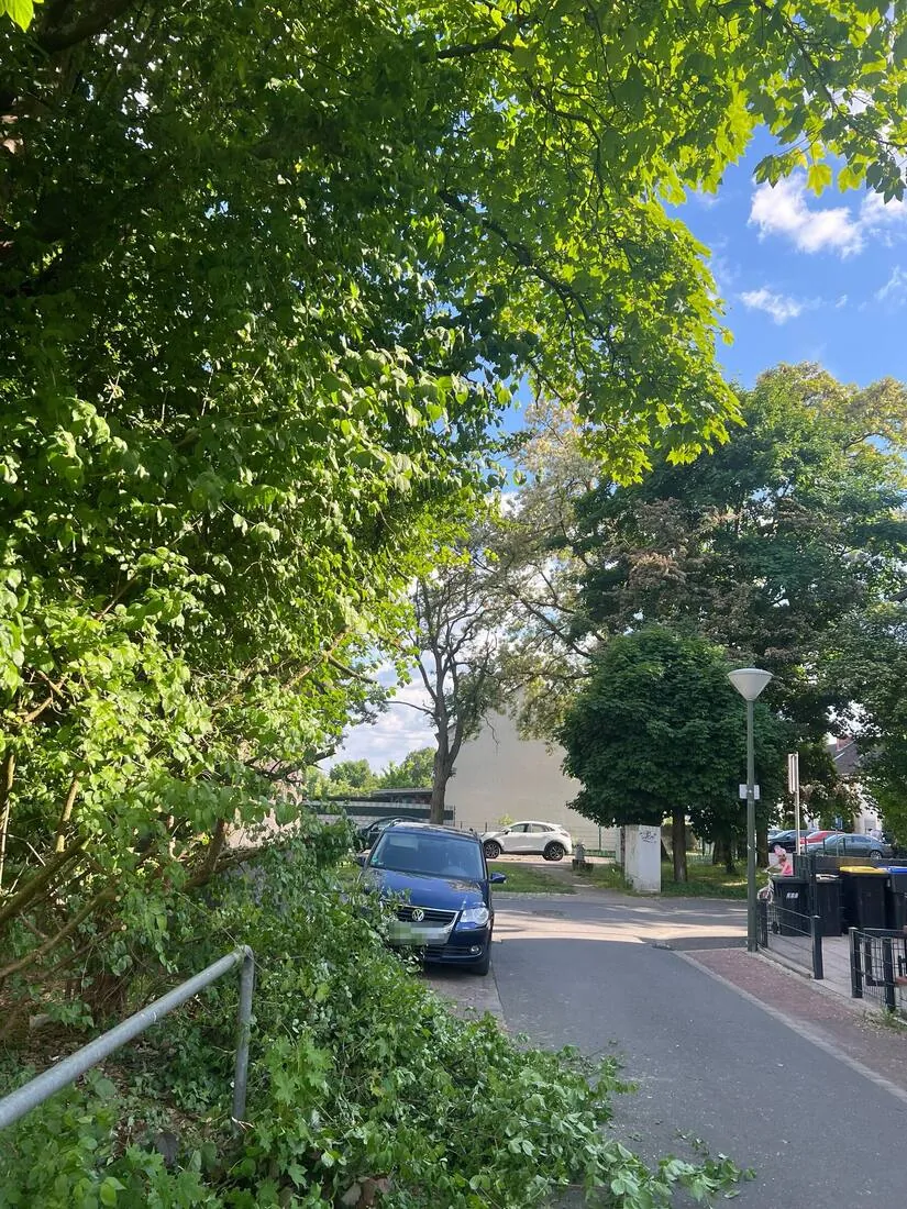 Gepflegter Weg in einer Wohnsiedlung