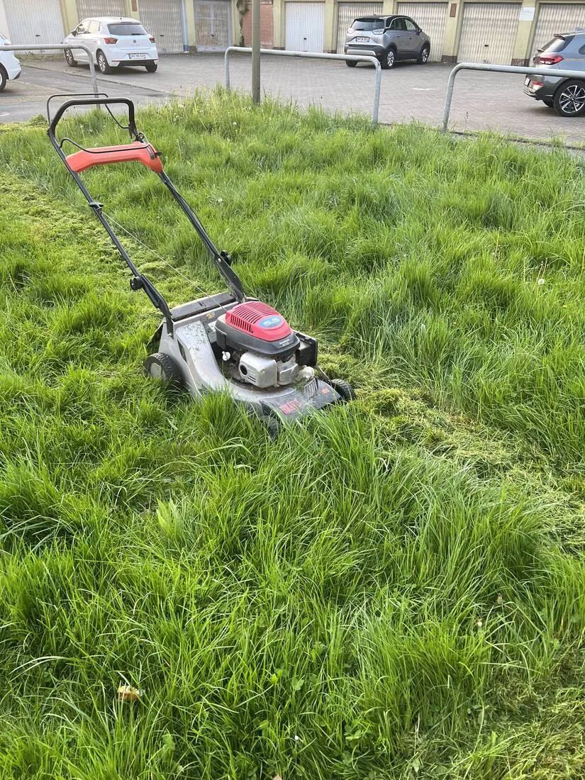 Gepflegte Grünfläche an einem Wohnobjekt